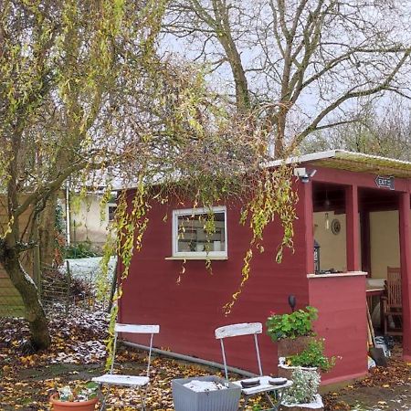 Appartamento Fachwerkhaus In Deensen - Solling-Vogler-Naturschutzgebiet Esterno foto